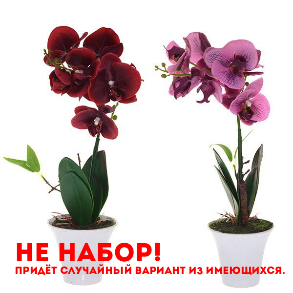 Искусственный цветок Орхидея, L40 D11см, 1 вид из 2 - не набор
