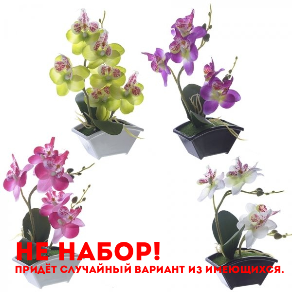 Цветочная композиция Орхидея, L11 W6 H22.5см, 1 вид из 4 - не набор